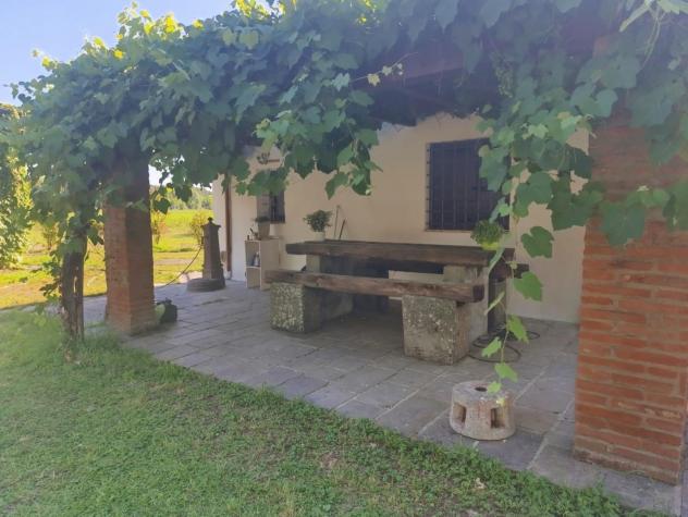 Appartamento in affitto a Calcinaia 40 mq Rif: 1429448 - Foto 4