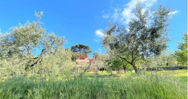 Villa in vendita a Fosdinovo - Foto 19