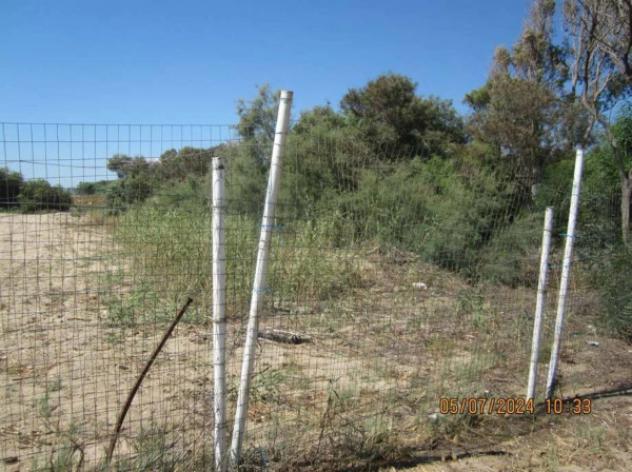 Immobile in asta di 49480 m² in vendita a Crotone - Foto 11