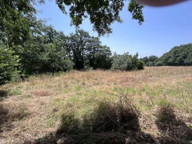Nel comune di Sorano e precisamente nella frazione di San Giovanni delle Contee che dispone di servizi di prima necessità e dista circa 14 km da Soran - Foto 18