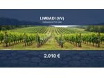 Immobile in asta di 3870 m² in vendita a Limbadi