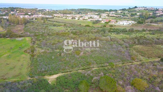 Terreno Agricolo - Budoni . Rif.: Cod. rif 3204979VCG - Foto 7