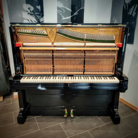 Da regalare: magnifico pianoforte C. Bechstein