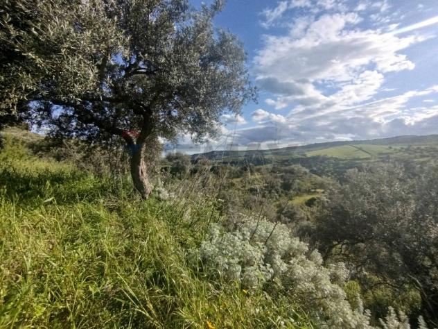 Terreno in vendita a Palazzolo Acreide - Foto 6