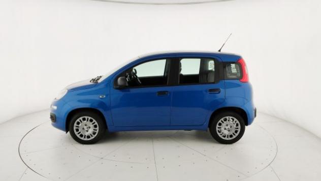 FIAT Pandina 1.0 FireFly 65 CV Hybrid Pop rif. 24152444 - Foto 4