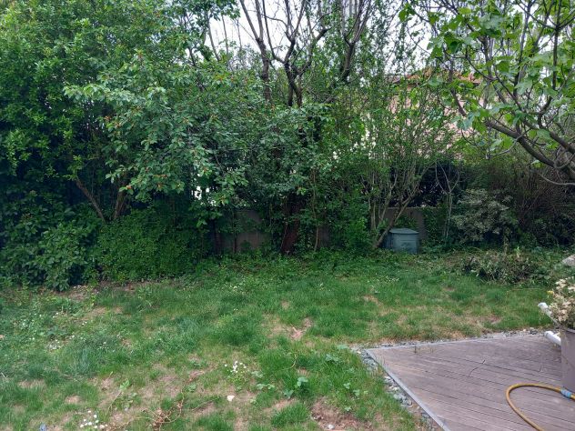 Tn SUD bilocale con GIARDINO