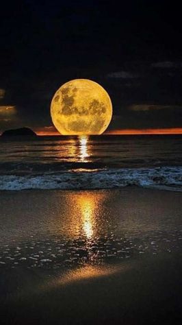 Percorsi della Luna Tel:3385474458