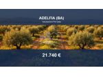 Immobile in asta di 2755 m² in vendita a Adelfia