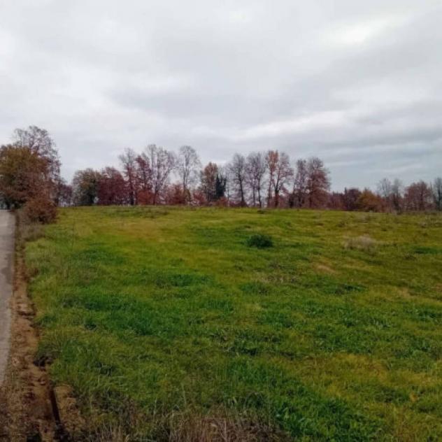 Immobile in asta di 28620 m² in vendita a Alatri - Foto 2