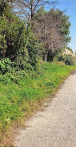 Immobile in asta di 54 m² in vendita a Ozzero - Foto 5