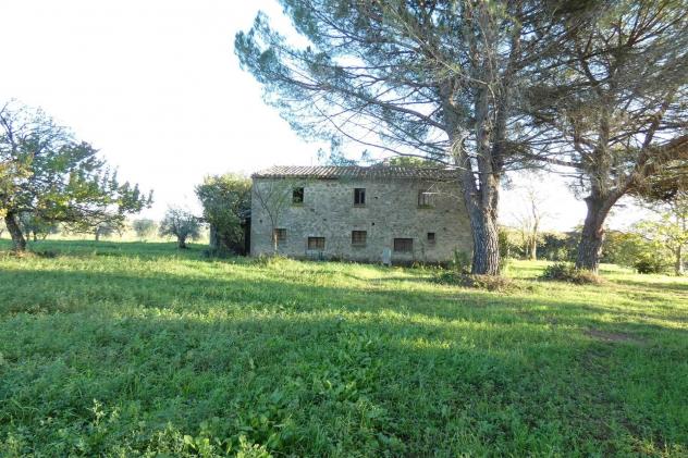 Rustico casale in Vendita in zona MONTEMASSI con giardino - Foto 5