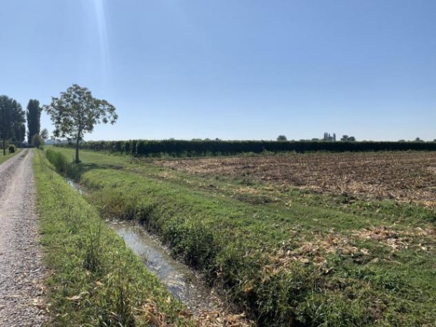 Terreno di 25000 m² in vendita a Rolo