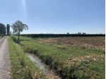 Terreno di 25000 m² in vendita a Rolo