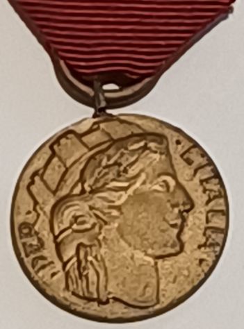 Medaglia volontari guerra italo-austriaca del 1915-1918. - Foto 4