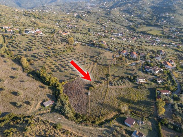 Agricolo in Via Alberico Guariglia