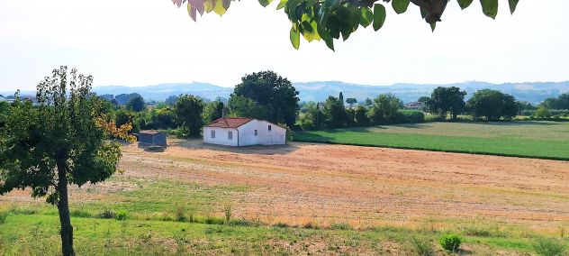 CASA DI CAMPAGNA immersa NEL VERDE con 6.200 mq. di TERRENO AGRICOLO - Foto 6