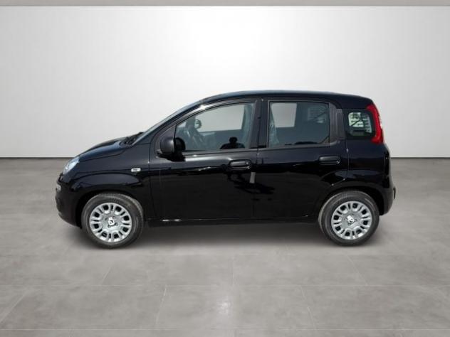 FIAT Pandina 1.0 FireFly 65 CV Hybrid Icon rif. 24167601 - Foto 8