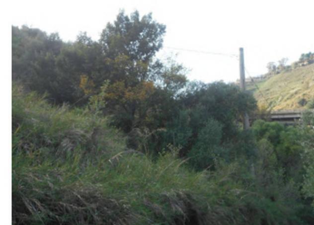 Immobile in asta di 3 m² in vendita a Messina - Foto 5