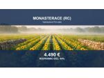 Immobile in asta di 3390 m² in vendita a Monasterace