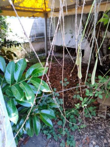 Immobile in asta di 437 m² con più di 5 locali in vendita a Frosinone - Foto 17