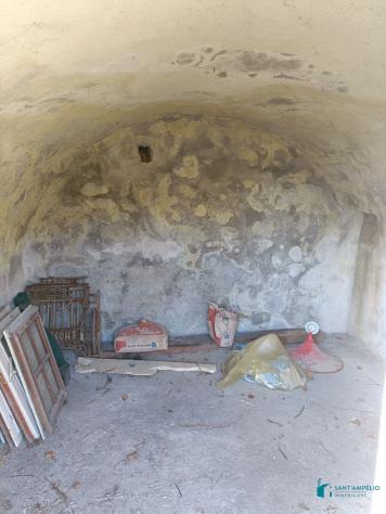 Vallebona VENDESI RUSTICO CON GIARDINO PRIVATO - Foto 5