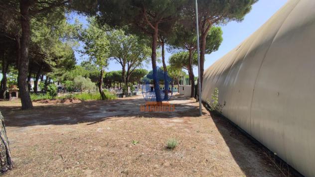 Cervia ampio centro sportivo/parco giochi - Foto 8