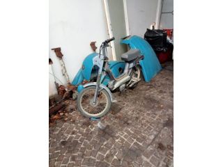 ciclomotore 50 GARY DUE