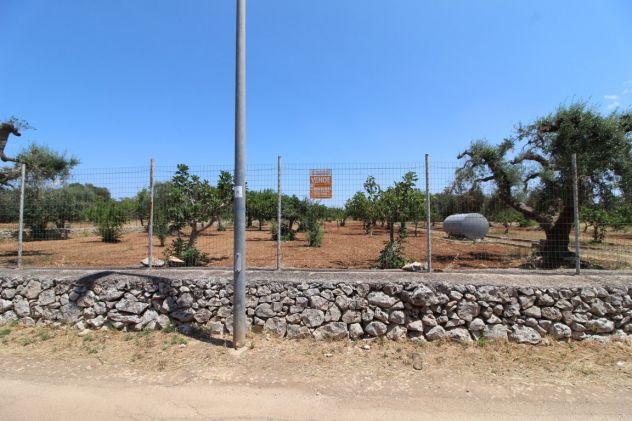 TERRENO AGRICOLO VIA DELLE ROSE GROTTAGLIE - Foto 6