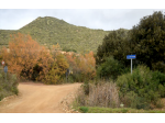 Terreno in vendita in Via Torrente Segariu (VS)