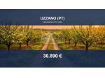 Immobile in asta di 3460 m² in vendita a Uzzano
