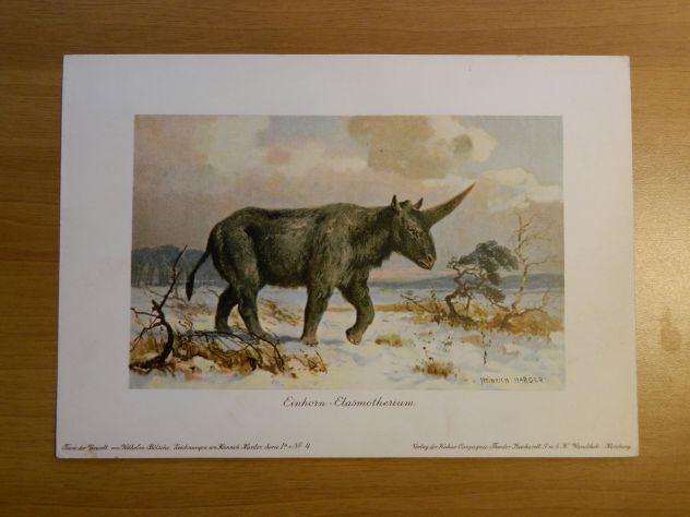 Serie di 8 litografie Harder-Bölsche: Tiere der Urwelt - Foto 5