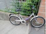 bici unisex
