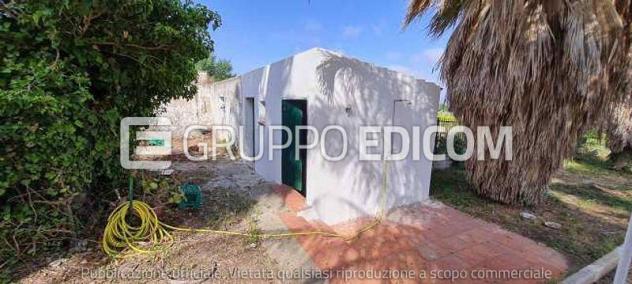Fabbricati per attività agricole di 122 mq in vendita a Pisticci - Rif. 4541687 - Foto 4