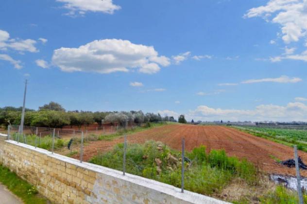 Immobile in asta di 27075 m² in vendita a Custonaci - Foto 8