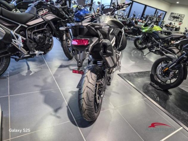 TRIUMPH Tiger 900 Rally Pro rif. 23120551 - Foto 6