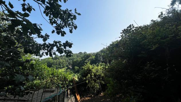 Area verde in vendita a Monteviale - Foto 18