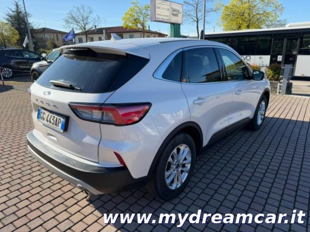 FORD Kuga 1.5 EcoBlue 120 CV 2WD rif. 23548058 - Foto 6