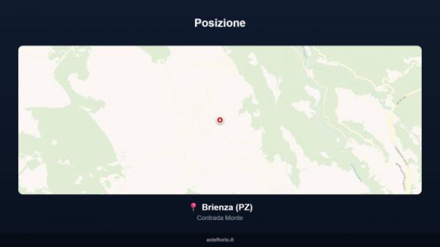 Immobile in asta di 284 m² con più di 5 locali in vendita a Brienza - Foto 2