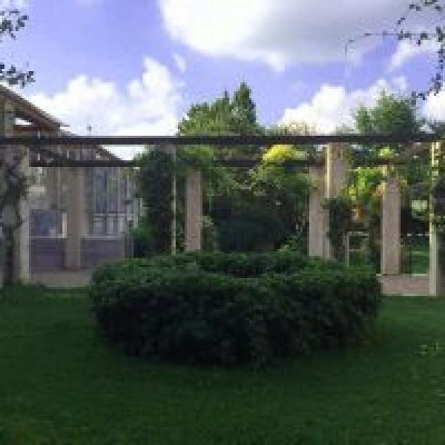 Bertoldi Gaetano - Foto 4