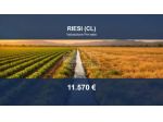 Immobile in asta di 79450 m² in vendita a Riesi