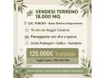 TERRENO 18.000 MQ - LOC. PURCINI -Santo Stefano d'Aspr.,Reggio C.-Fotovoltaico