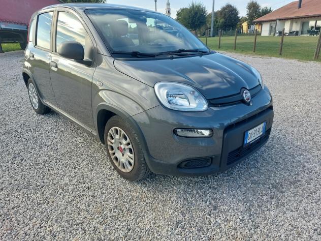 Fiat Panda 1.0 FireFly S&S Hybrid 5p 70cv - Foto 2
