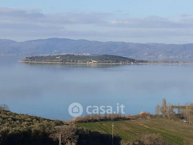 Magione vendesi terreno agricolo 16500 Mq - Foto 9