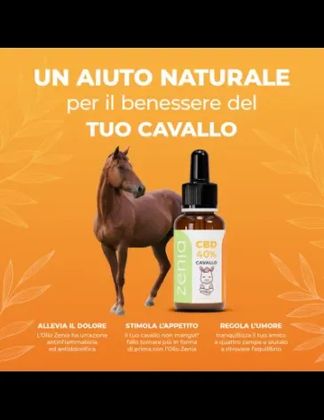 Olio CBD Cavallo 40% - Foto 10