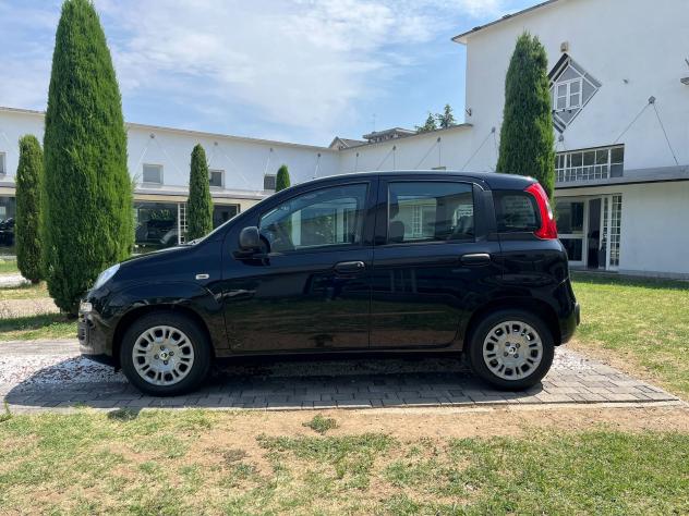 FIAT Pandina 1.0 FireFly 65cv S&S 6m Hybrid Icon - Foto 3