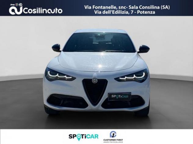 ALFA ROMEO Stelvio 2.2 Turbodiesel 210 CV AT8 Q4 rif. 20504687 - Foto 8