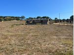 Annesso agricolo in vendita a Luogosanto 22800 mq  Rif: 1348054