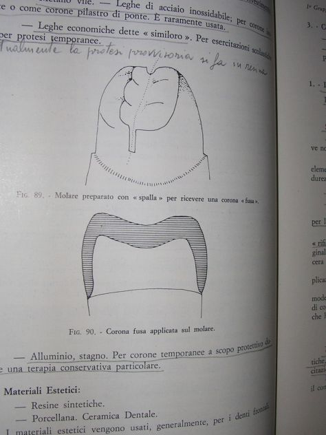 BIOMECCANICA MASTICATORIA - Foto 10