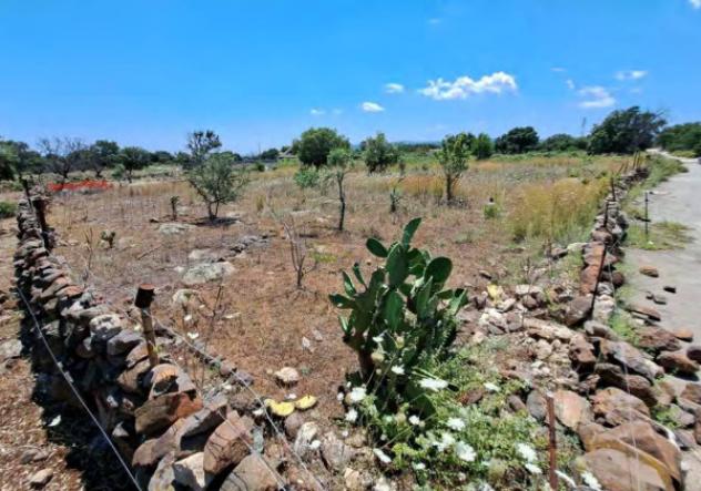 Immobile in asta di 10500 m² in vendita a Melilli - Foto 9
