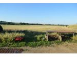 Terreno agricolo in vendita a Montalto di Castro 1800000 mq  Rif: 1104359